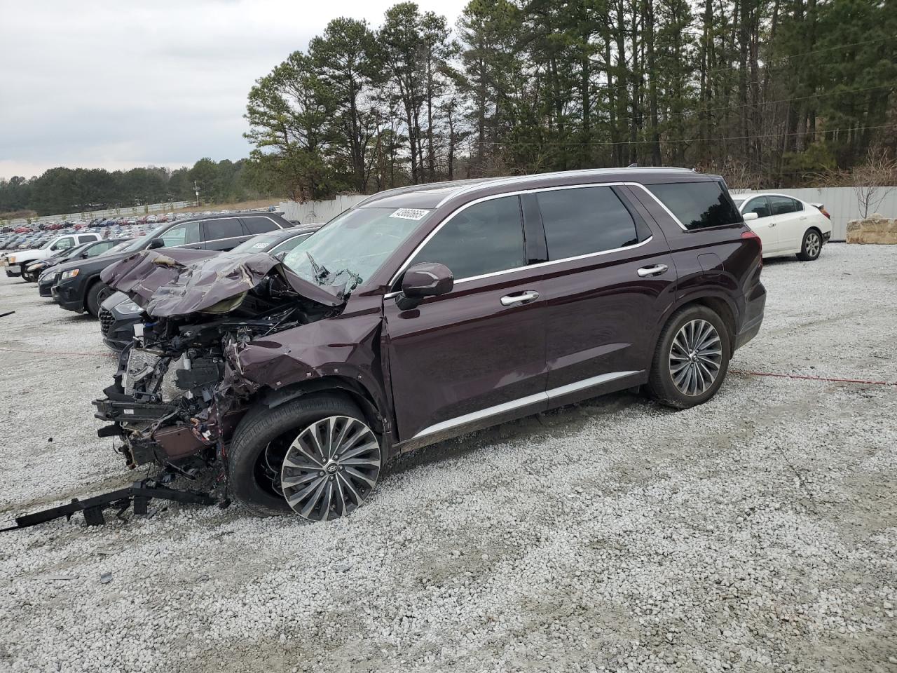 HYUNDAI PALISADE C 2024