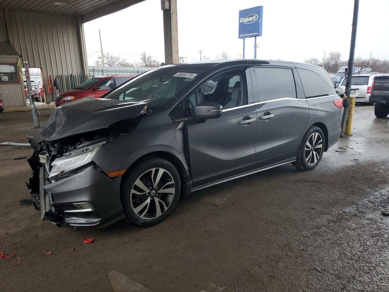 HONDA ODYSSEY EL 2019