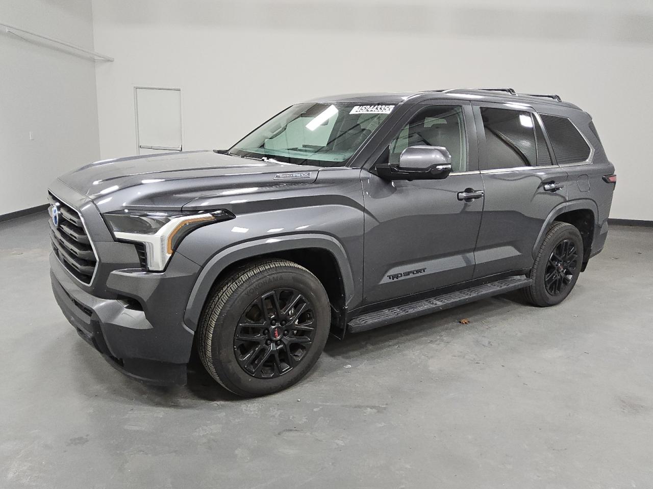 TOYOTA SEQUOIA SR 2024