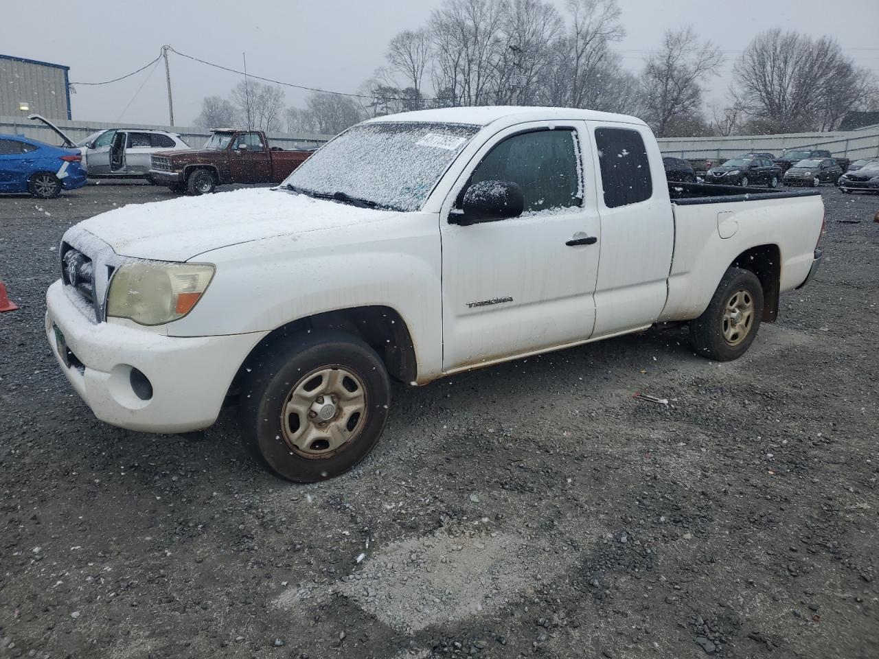 TOYOTA TACOMA ACC 2005
