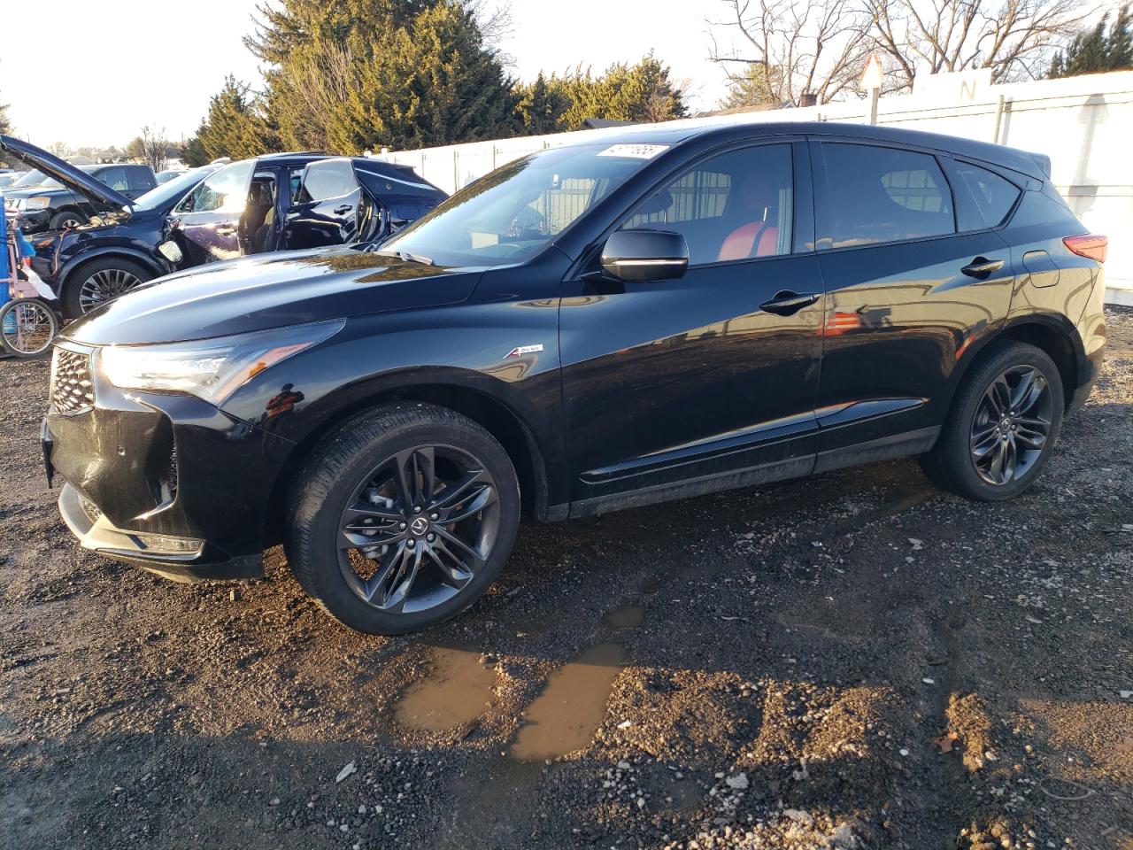 ACURA RDX A-SPEC 2024
