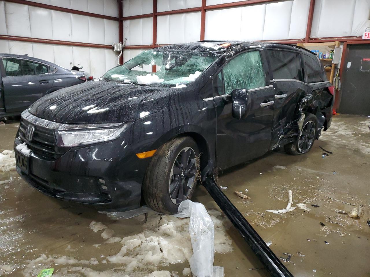 HONDA ODYSSEY EL 2021