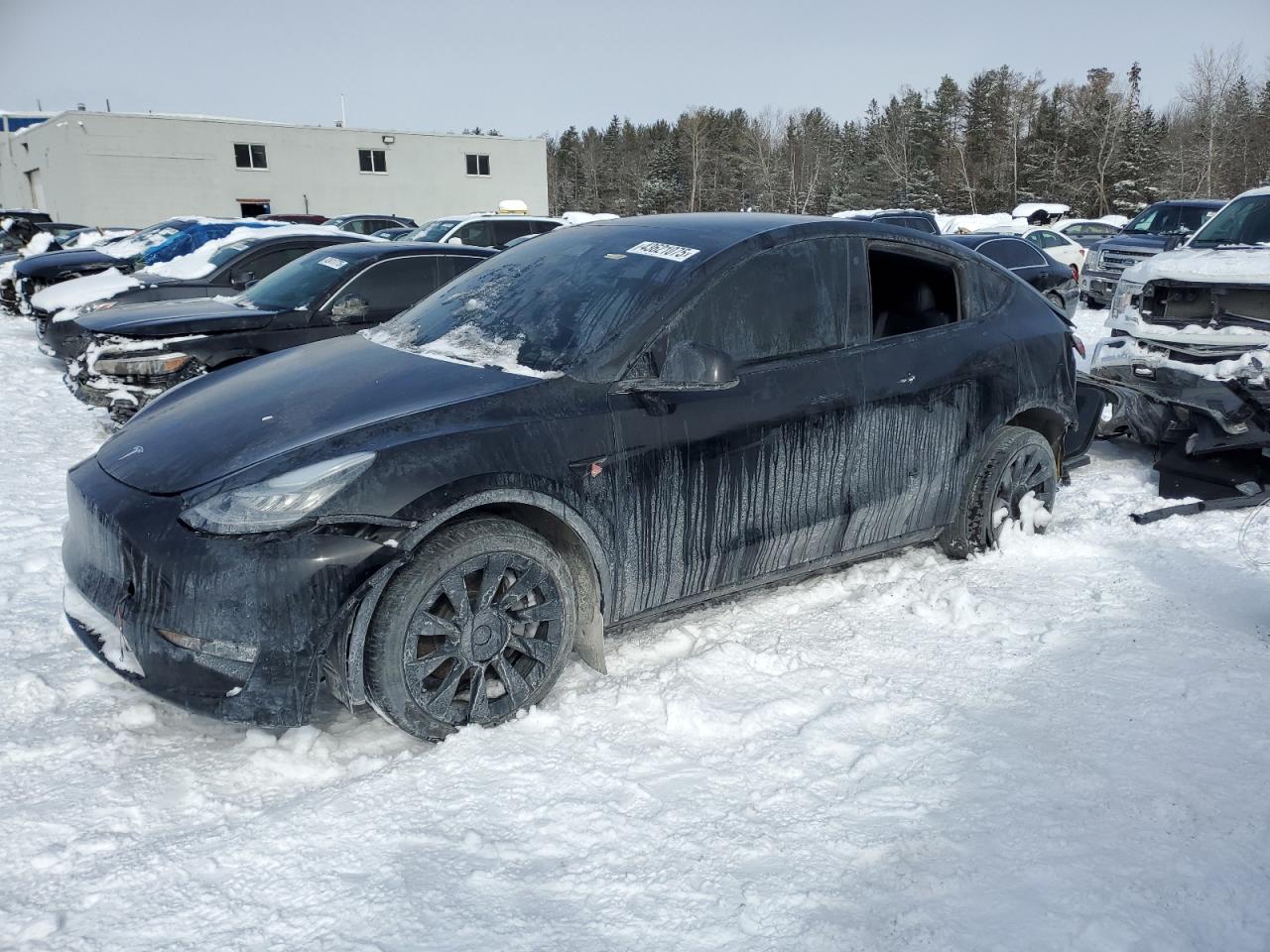 TESLA MODEL Y 2022