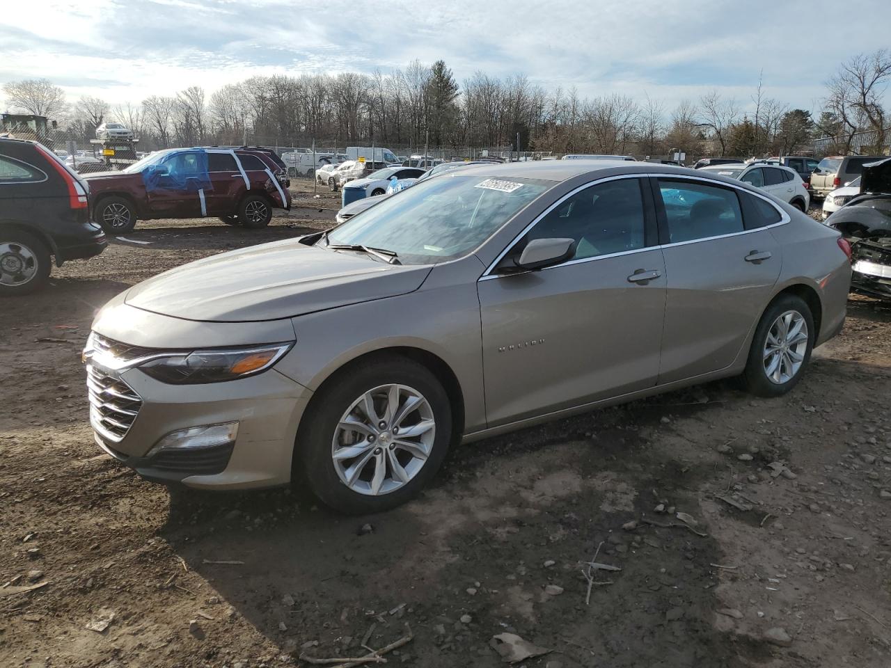 CHEVROLET MALIBU LT 2023
