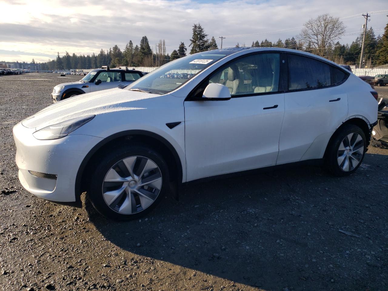 TESLA MODEL Y 2023