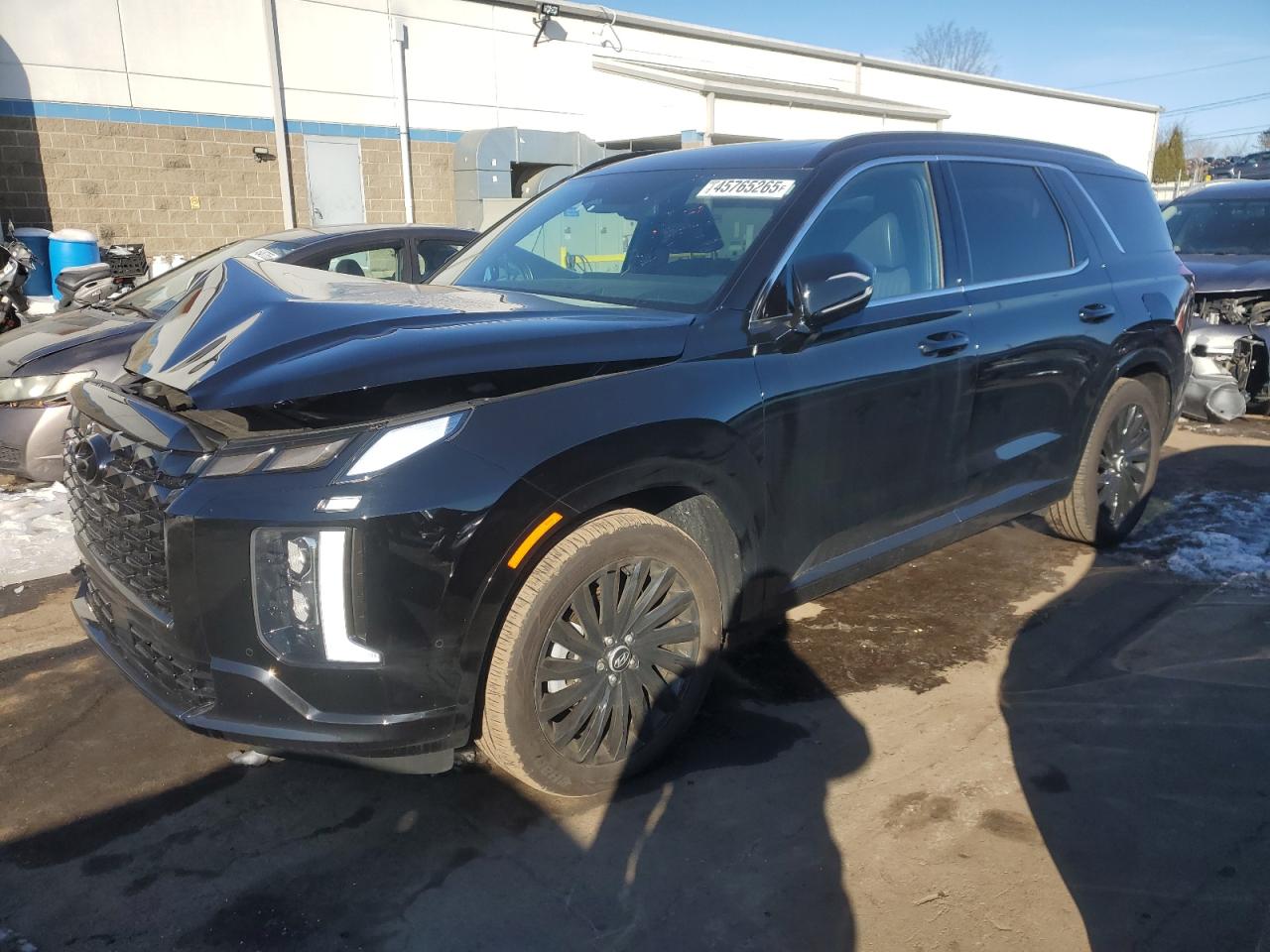HYUNDAI PALISADE C 2024
