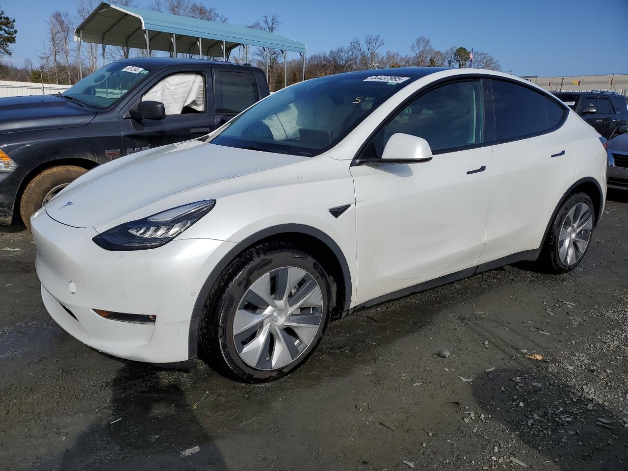 TESLA MODEL Y 2021