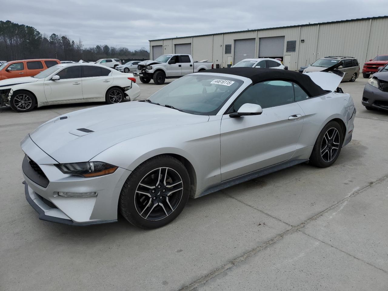 FORD MUSTANG 2019