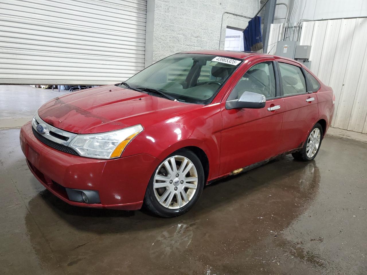 FORD FOCUS SEL 2010