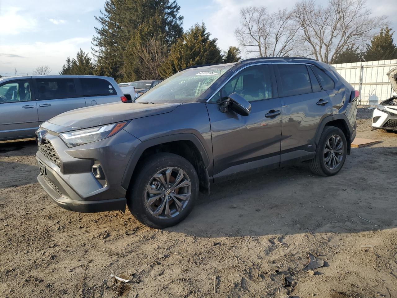 TOYOTA RAV4 XLE P 2024