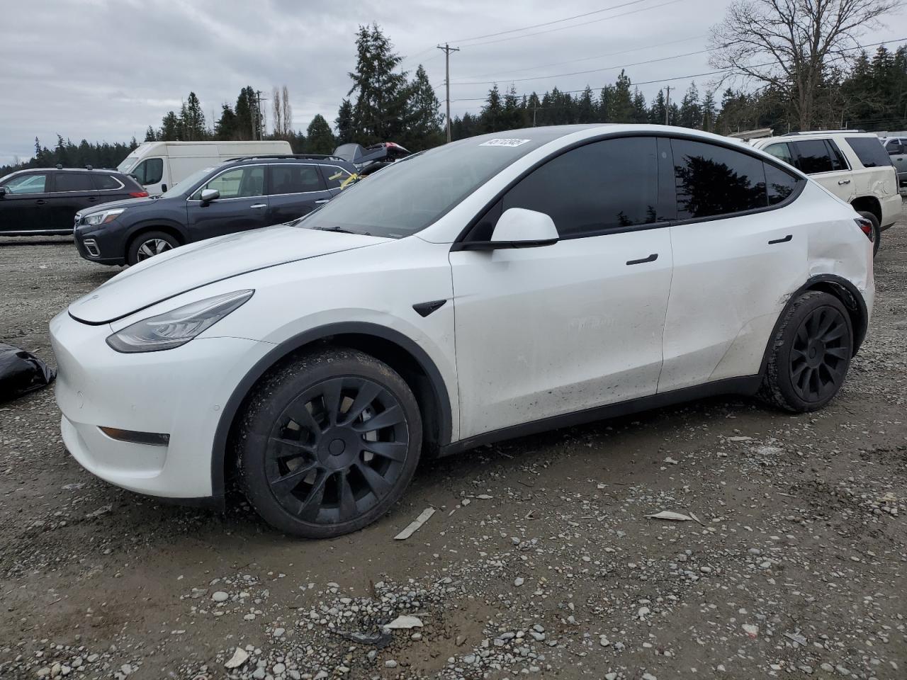 TESLA MODEL Y 2021