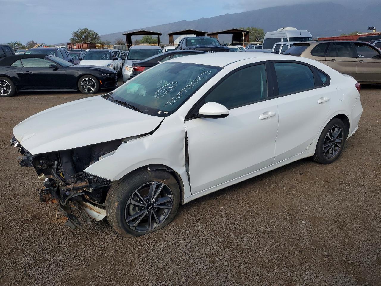 KIA FORTE 2024