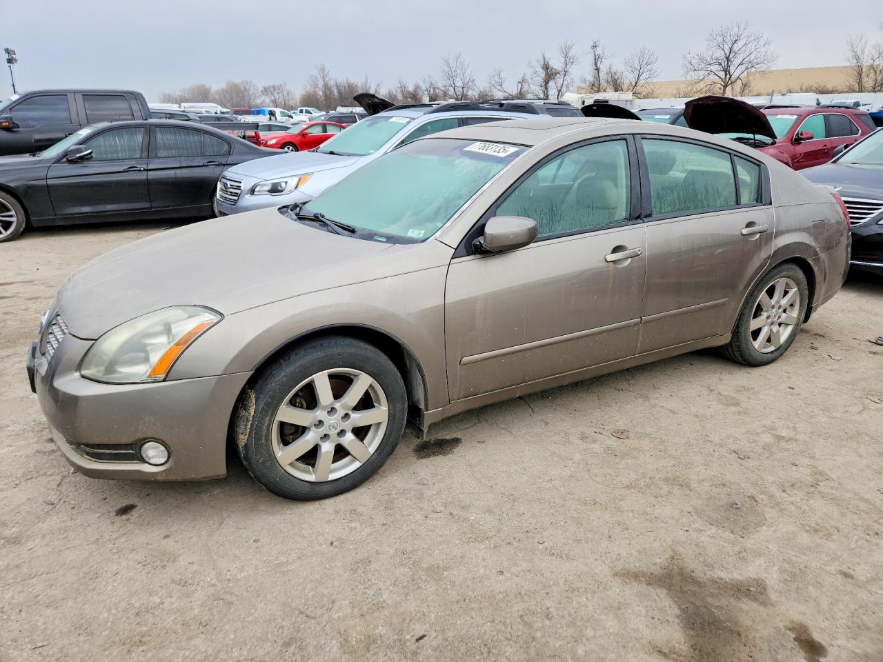 NISSAN MAXIMA 2006
