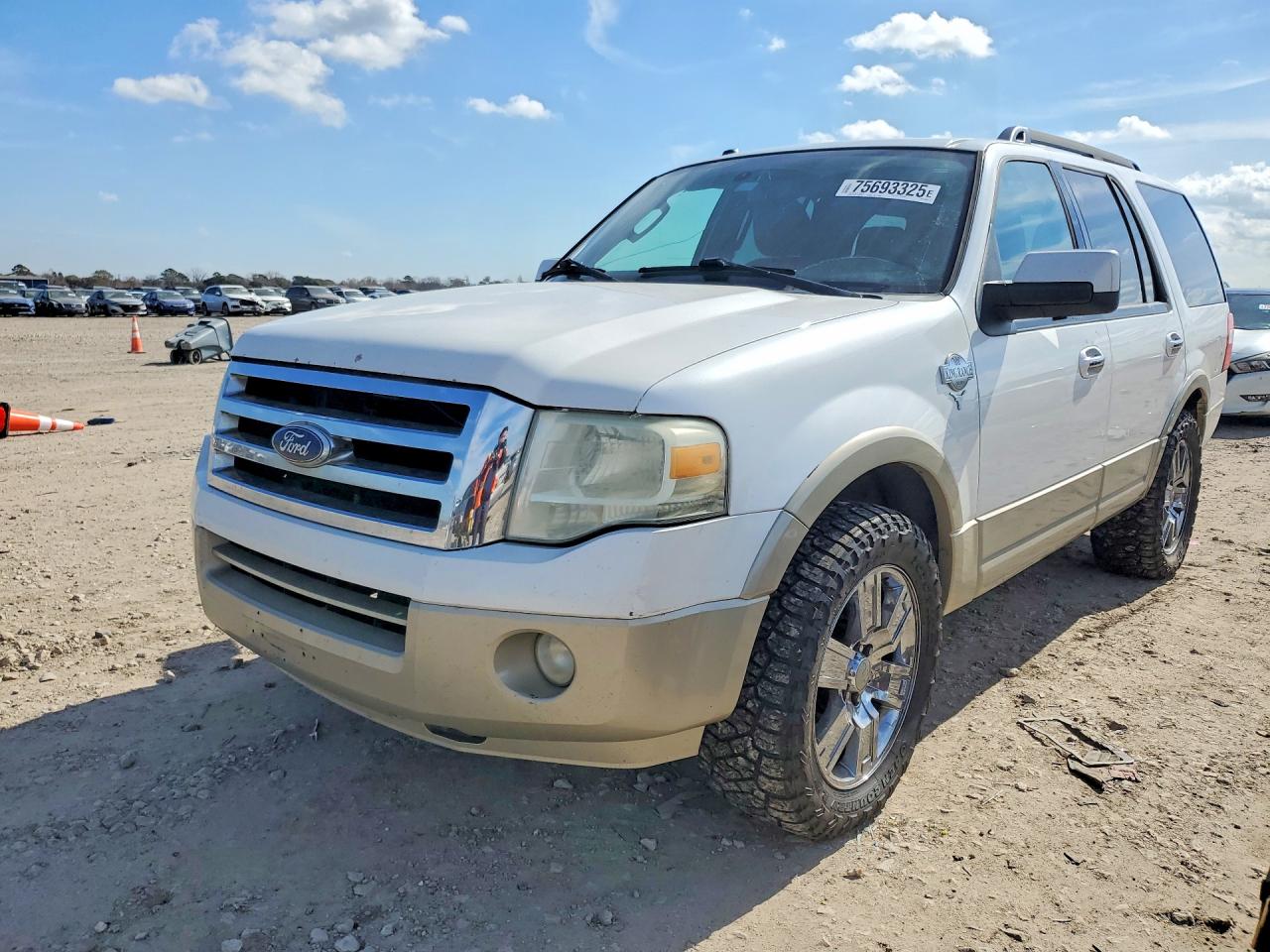 FORD EXPEDITION 2010