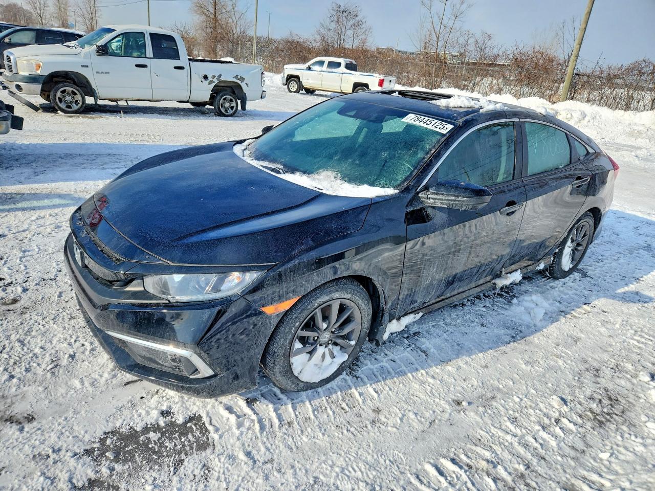 HONDA CIVIC 2021