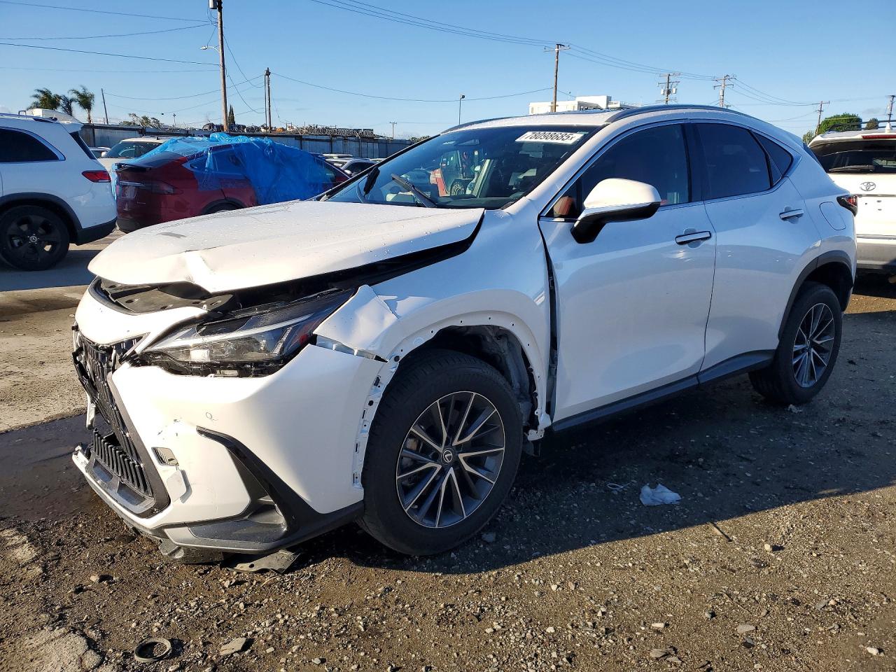 LEXUS NX 2022
