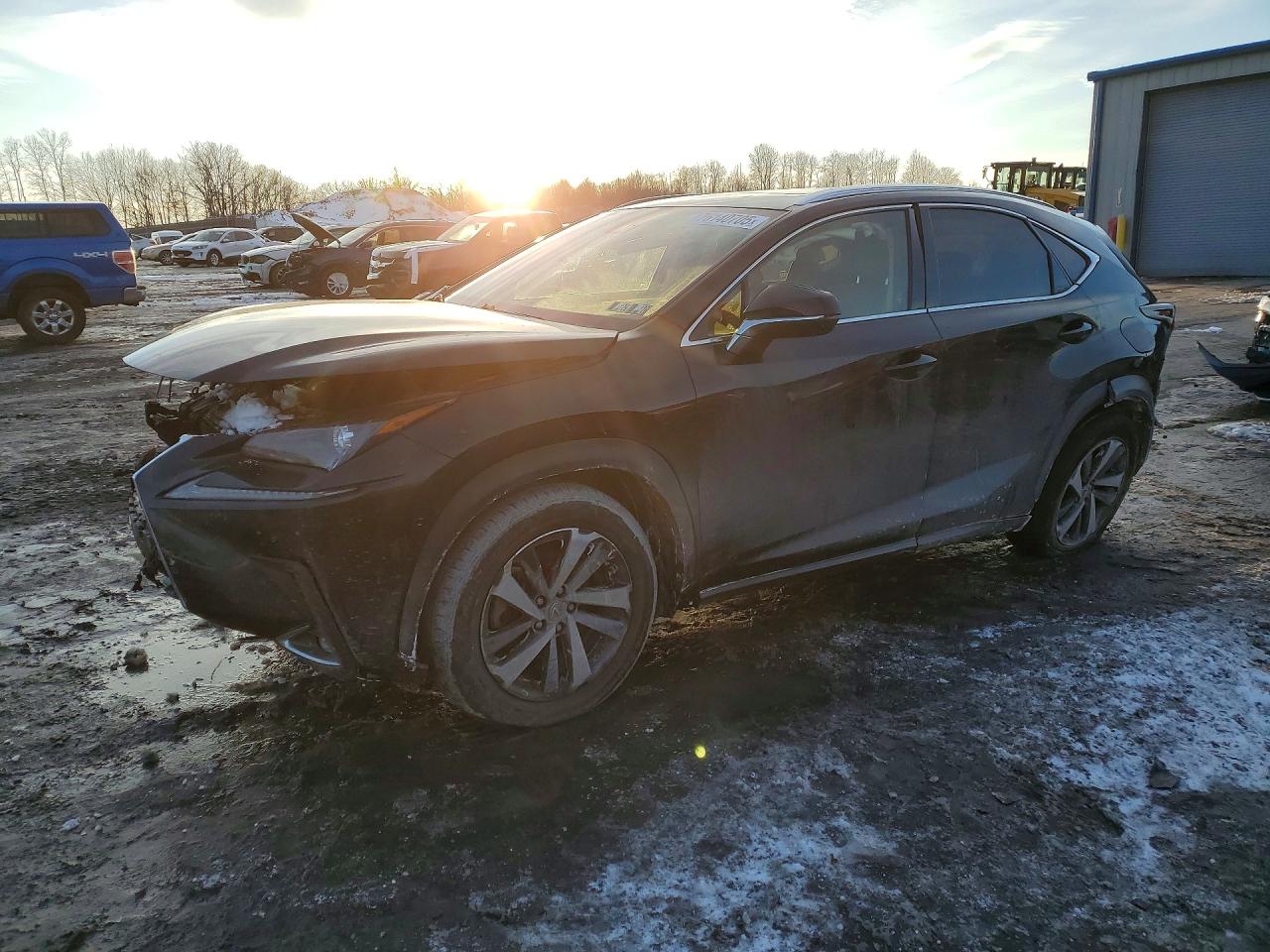 LEXUS NX 2021
