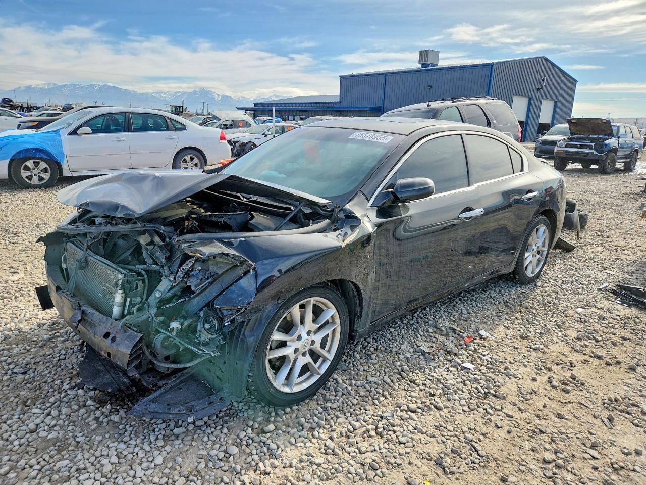 NISSAN MAXIMA 2014
