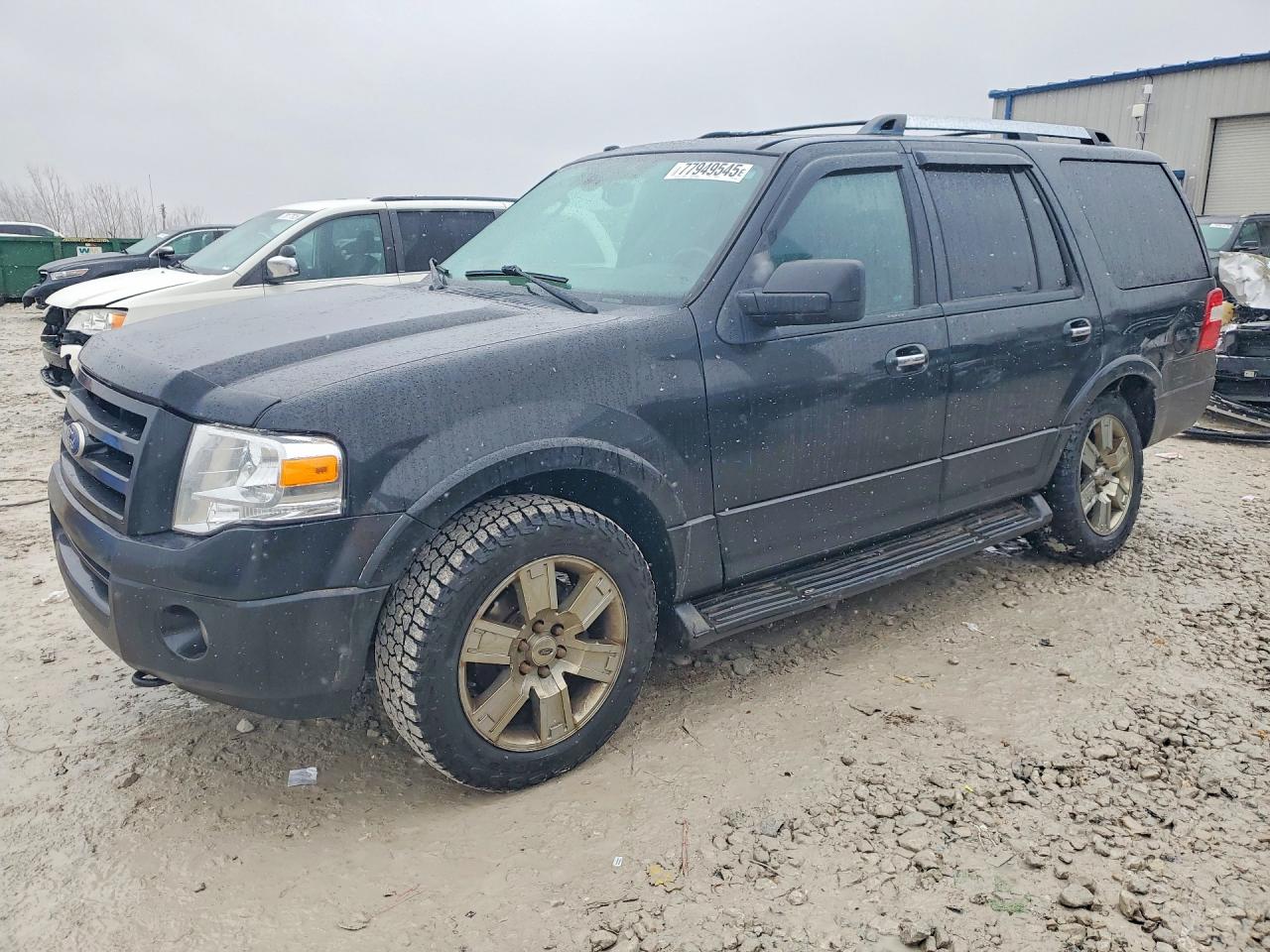 FORD EXPEDITION 2010