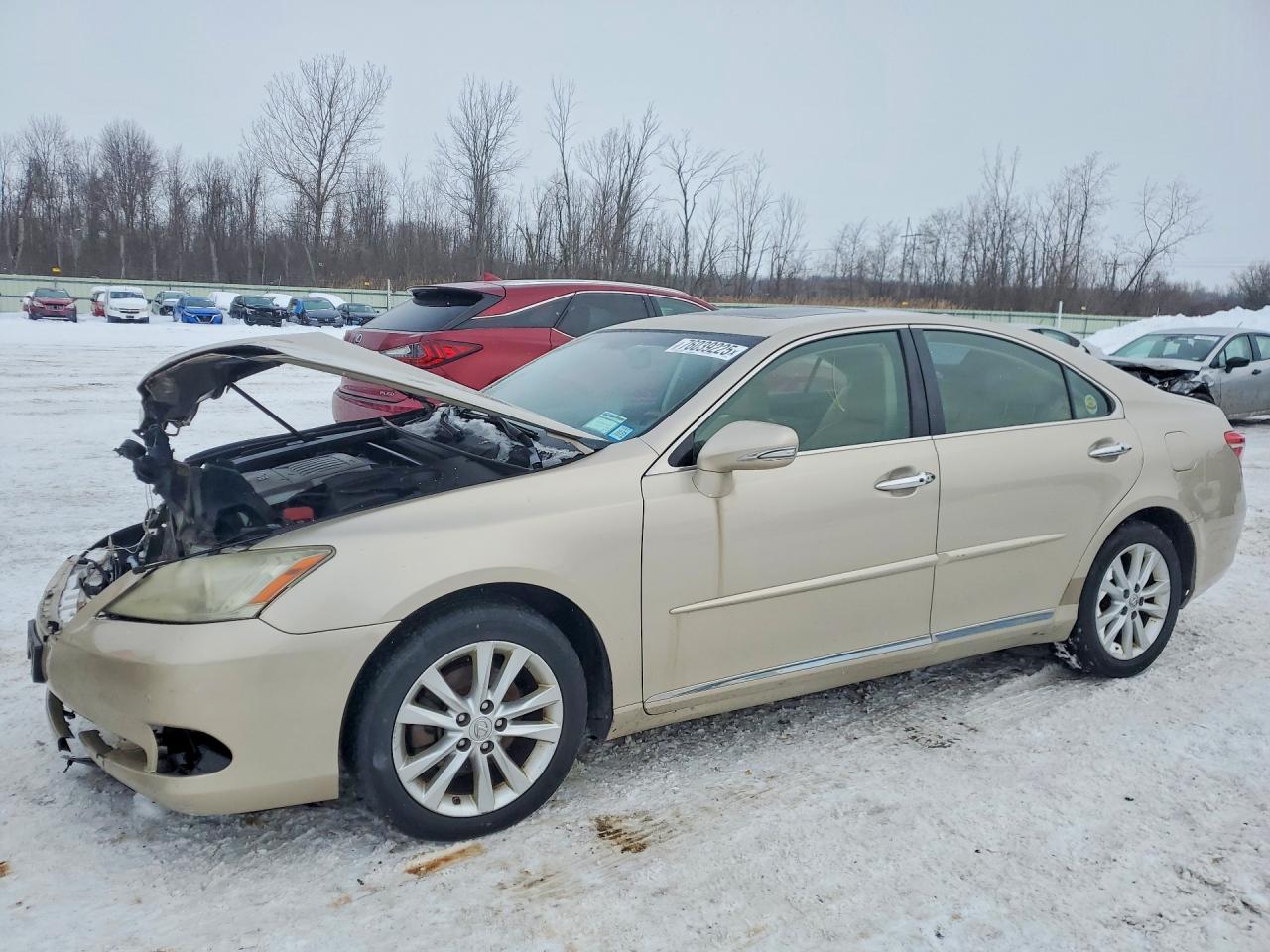LEXUS ES 2011
