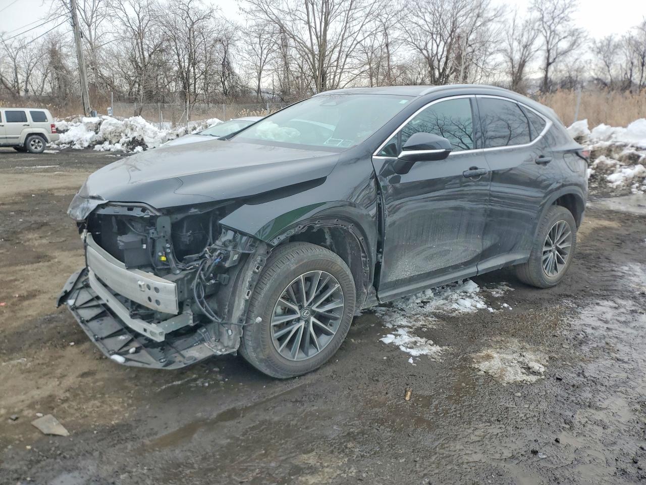 LEXUS NX 2024