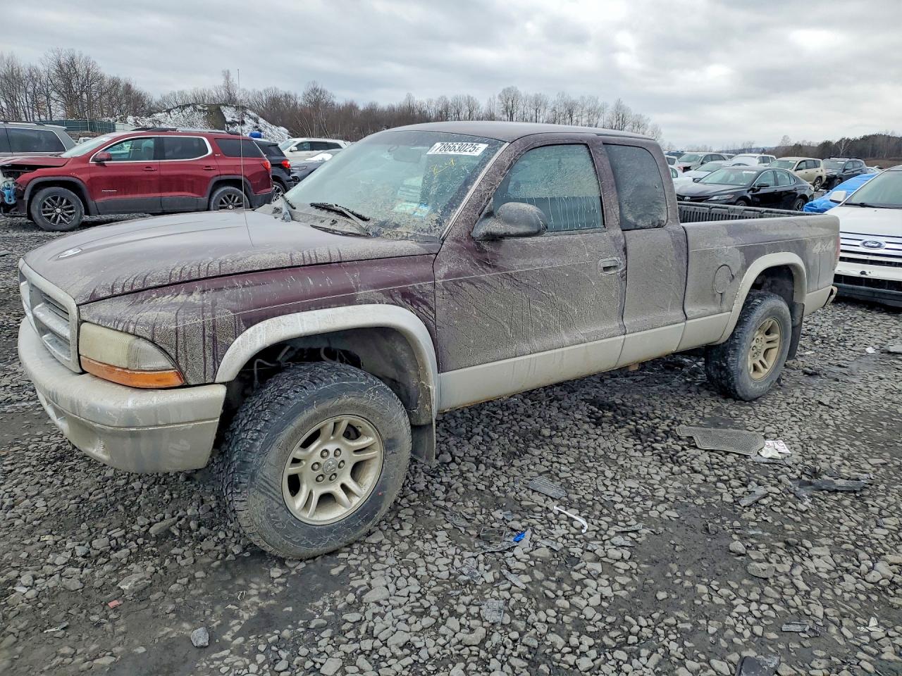 DODGE DAKOTA 2004