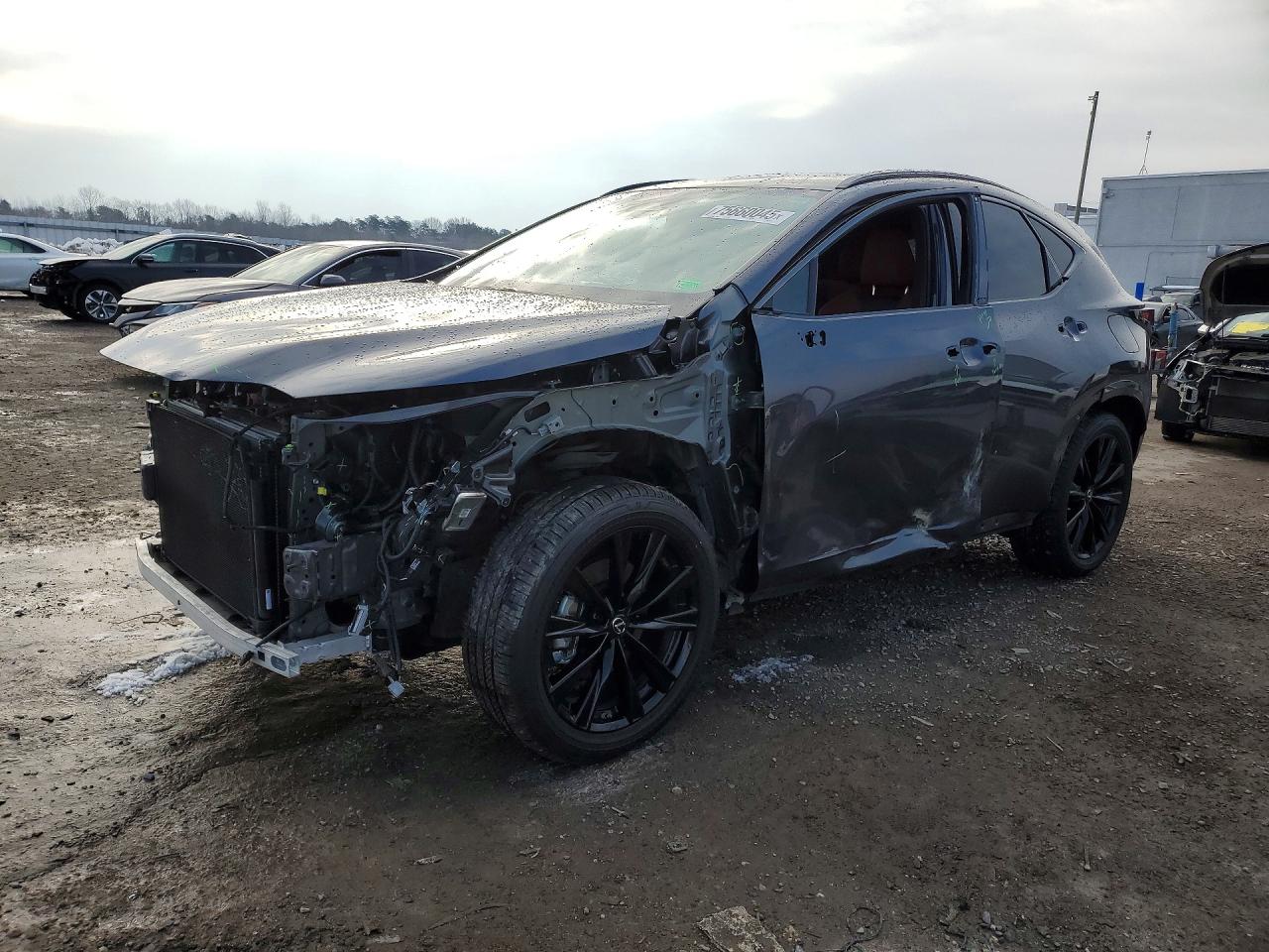 LEXUS NX 2023