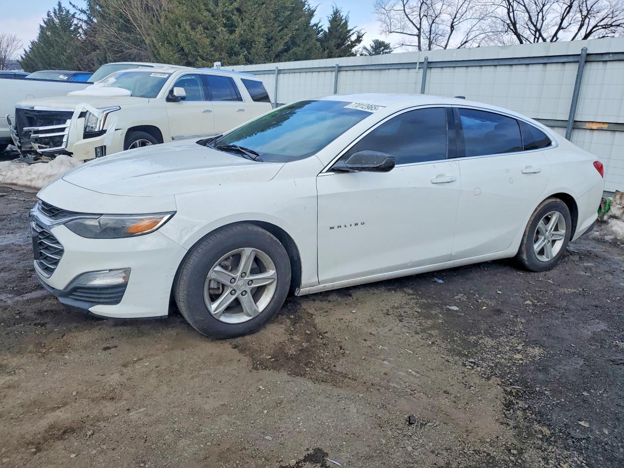 CHEVROLET MALIBU 2020