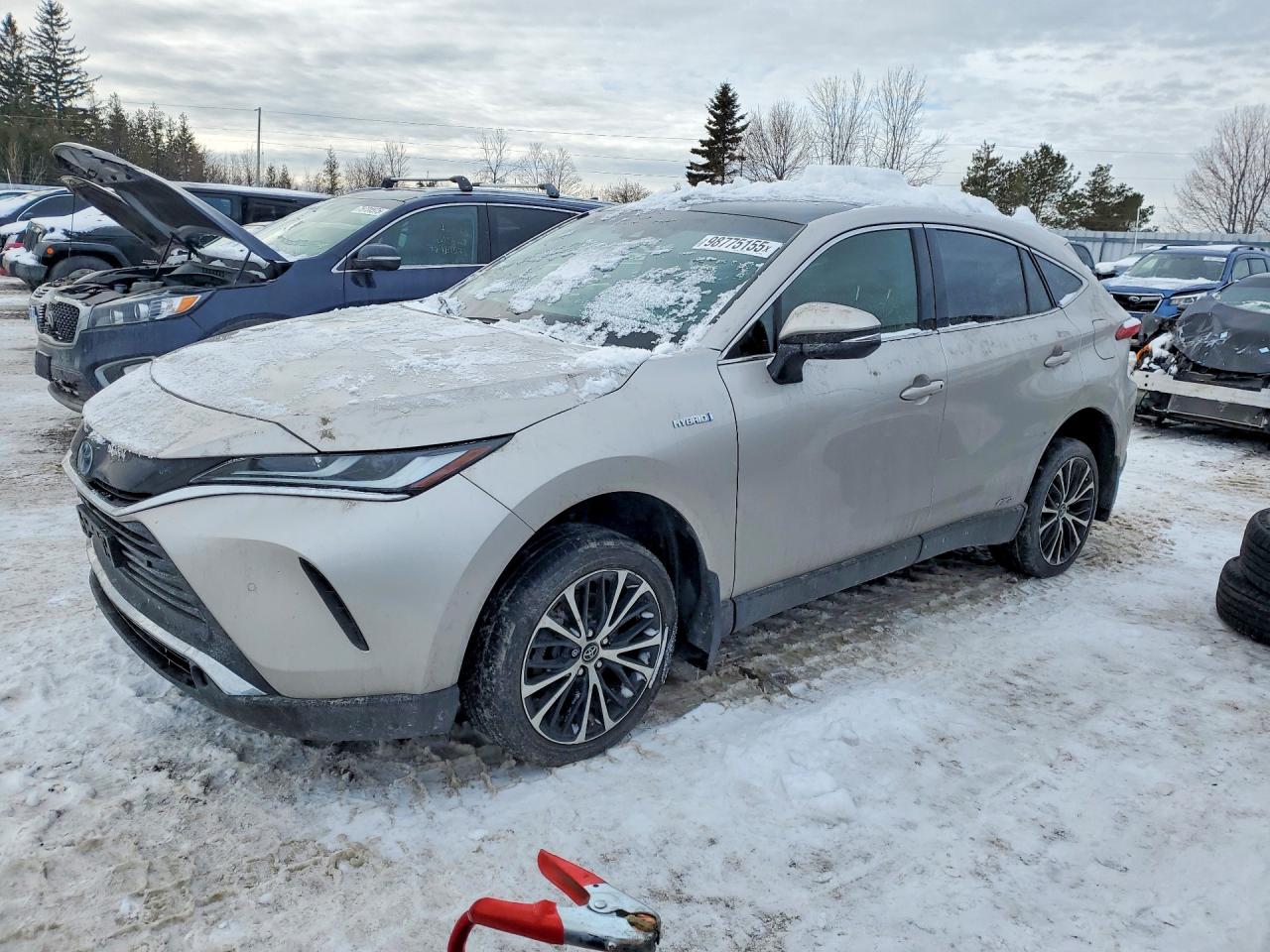 TOYOTA VENZA 2021