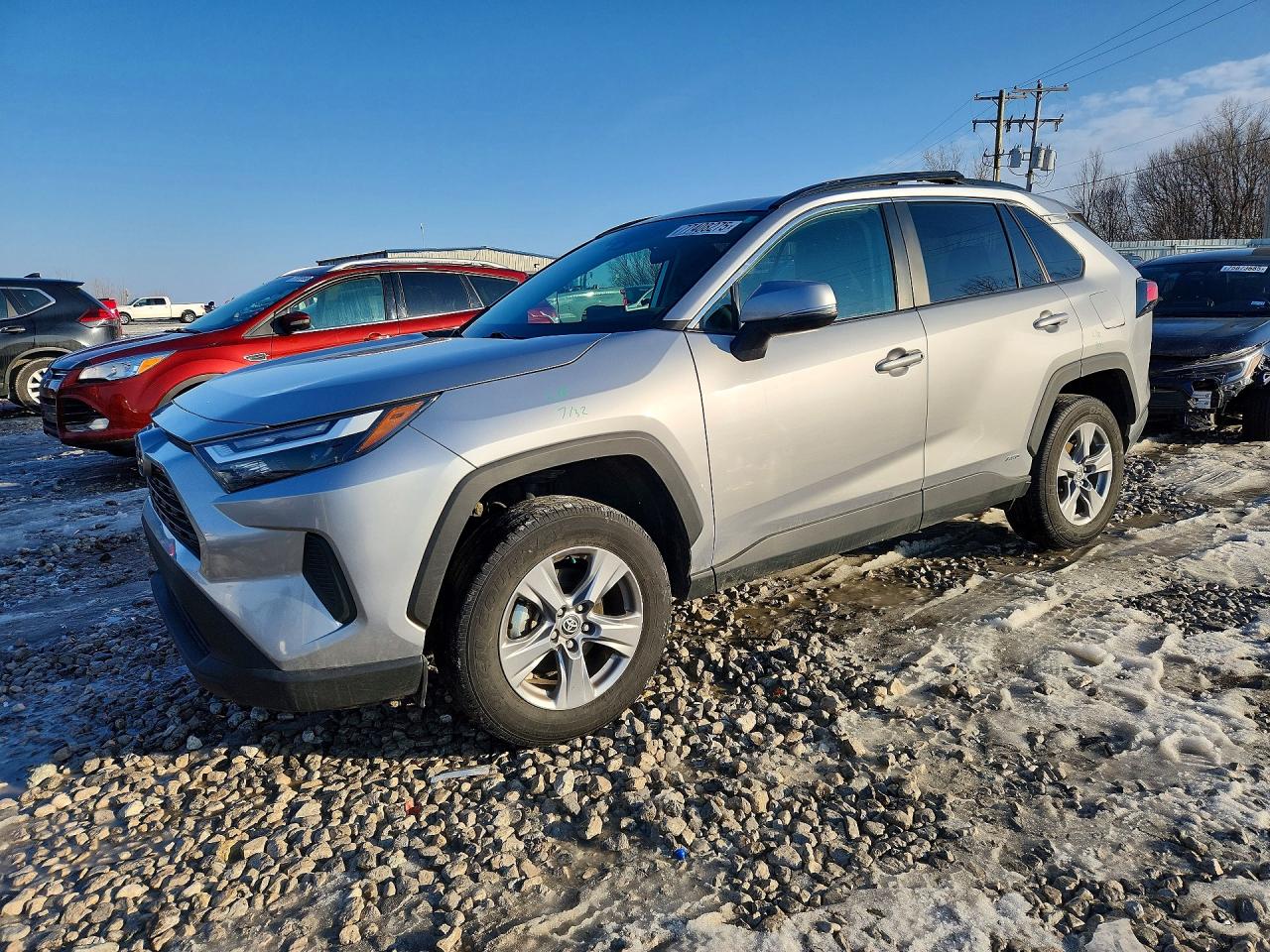 TOYOTA RAV4 2024