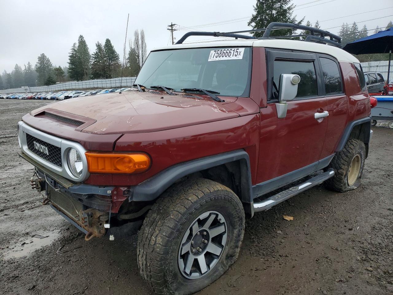 TOYOTA FJ CRUISER 2010