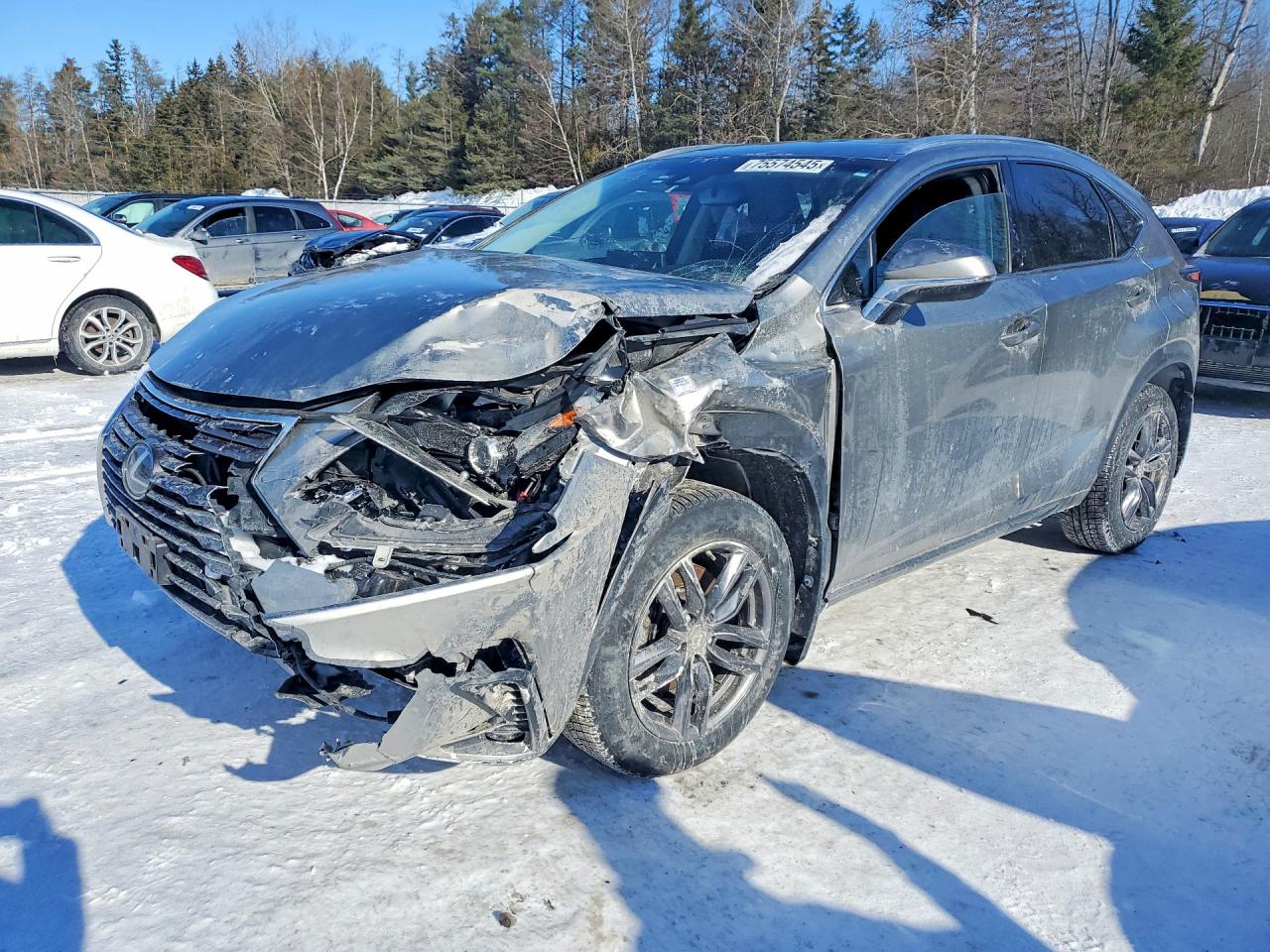 LEXUS NX 2019