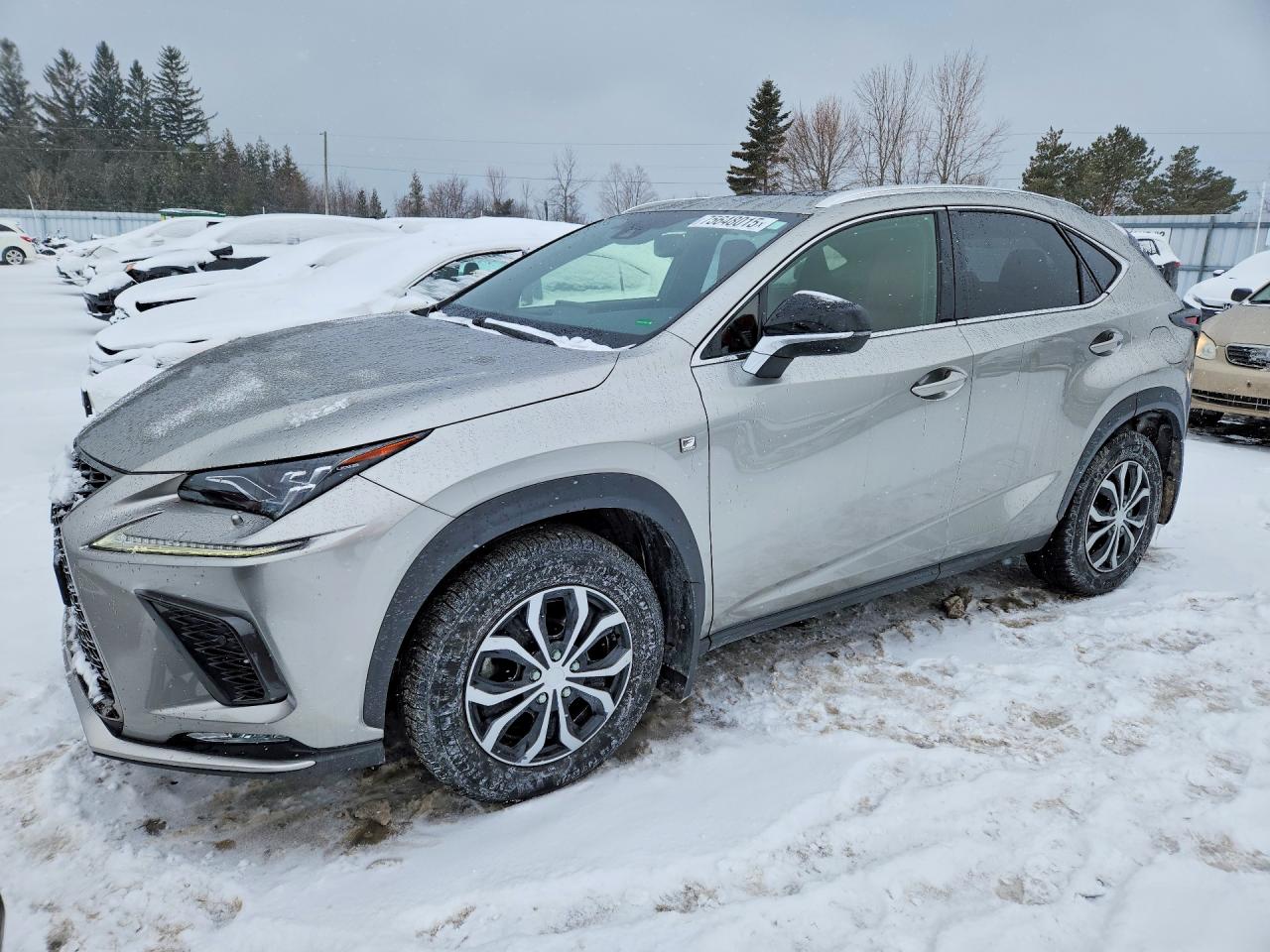 LEXUS NX 2020