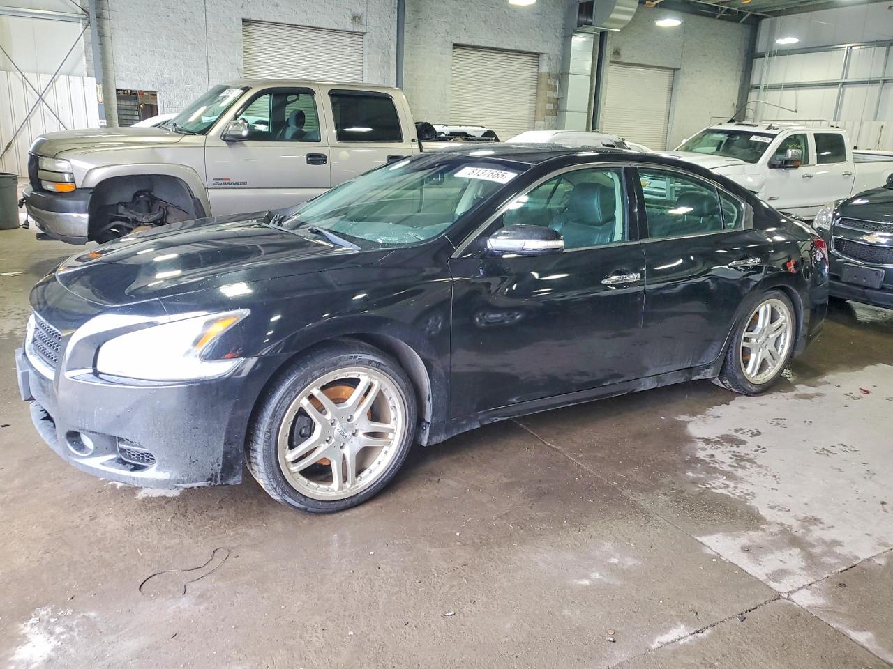 NISSAN MAXIMA 2011