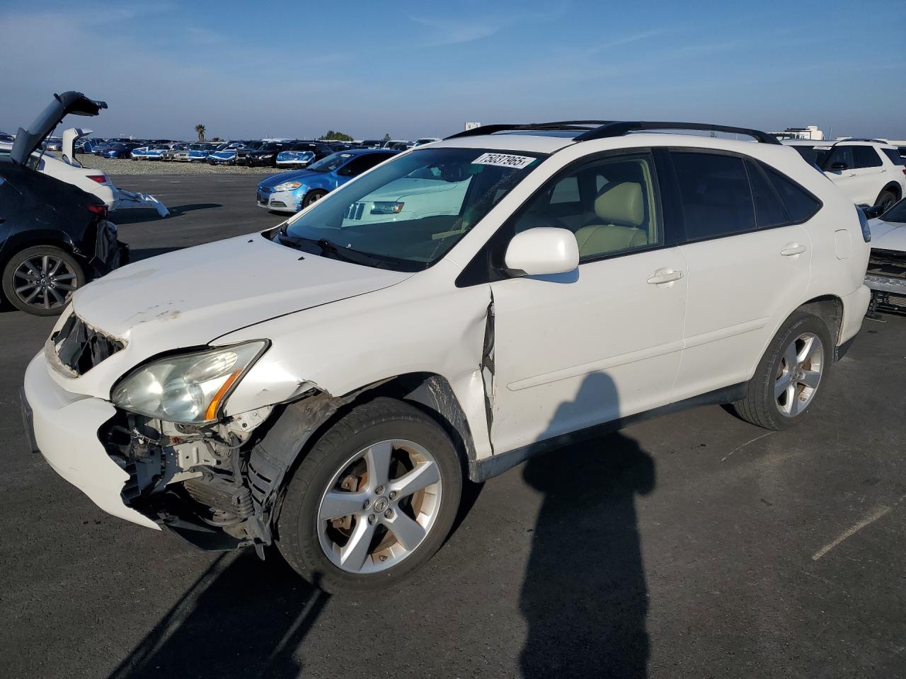 LEXUS RX 2007