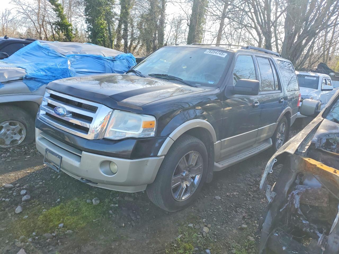 FORD EXPEDITION 2009