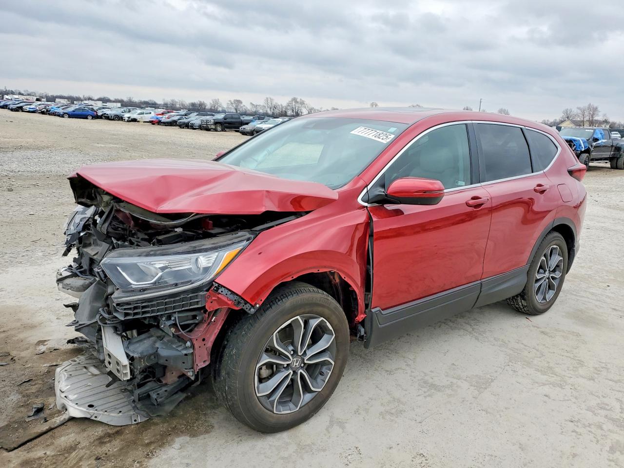 HONDA CR-V 2021