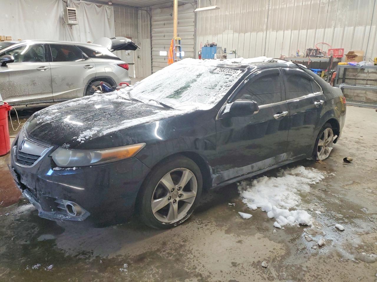 ACURA TSX 2011