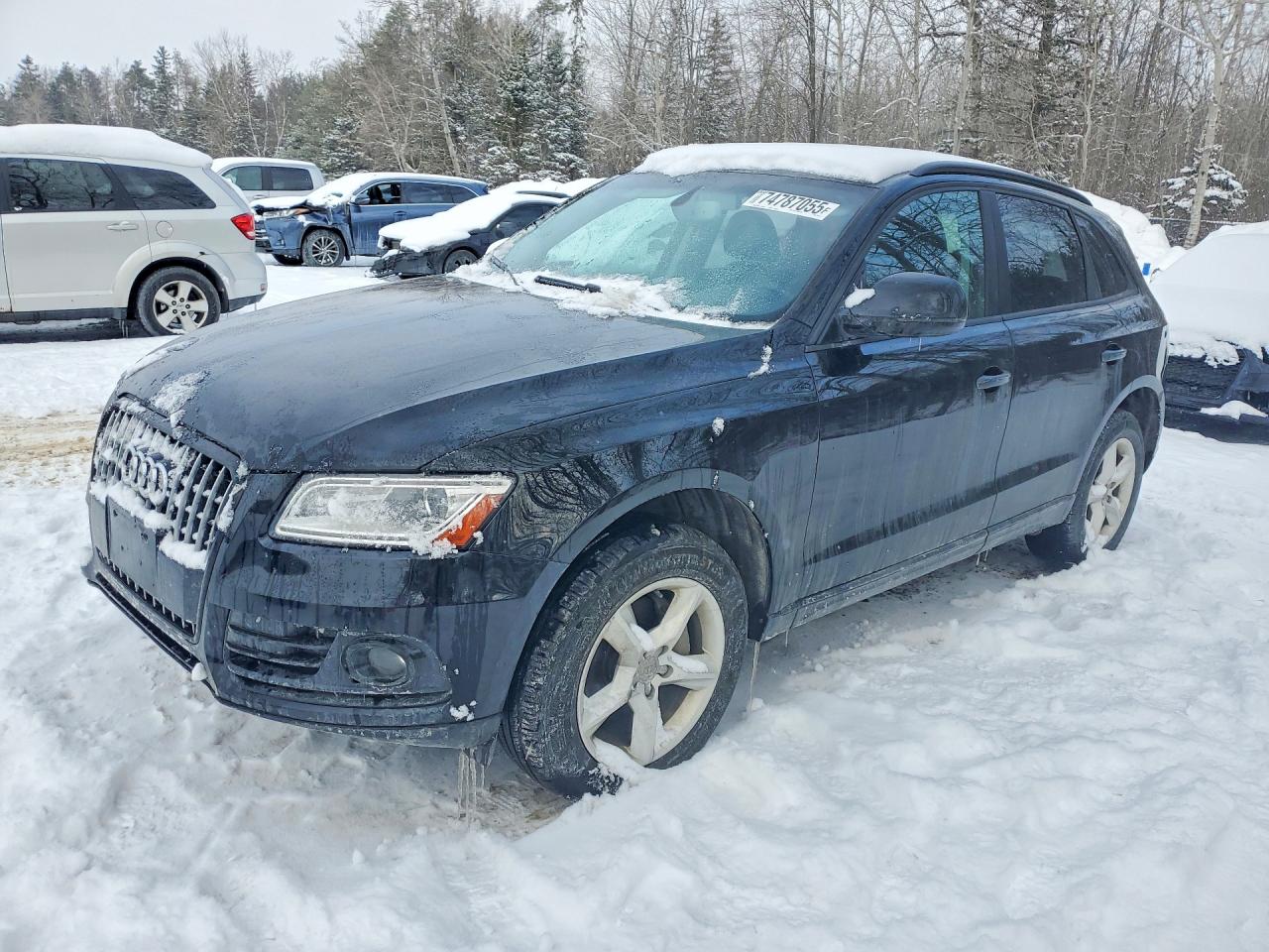 AUDI Q5 2017