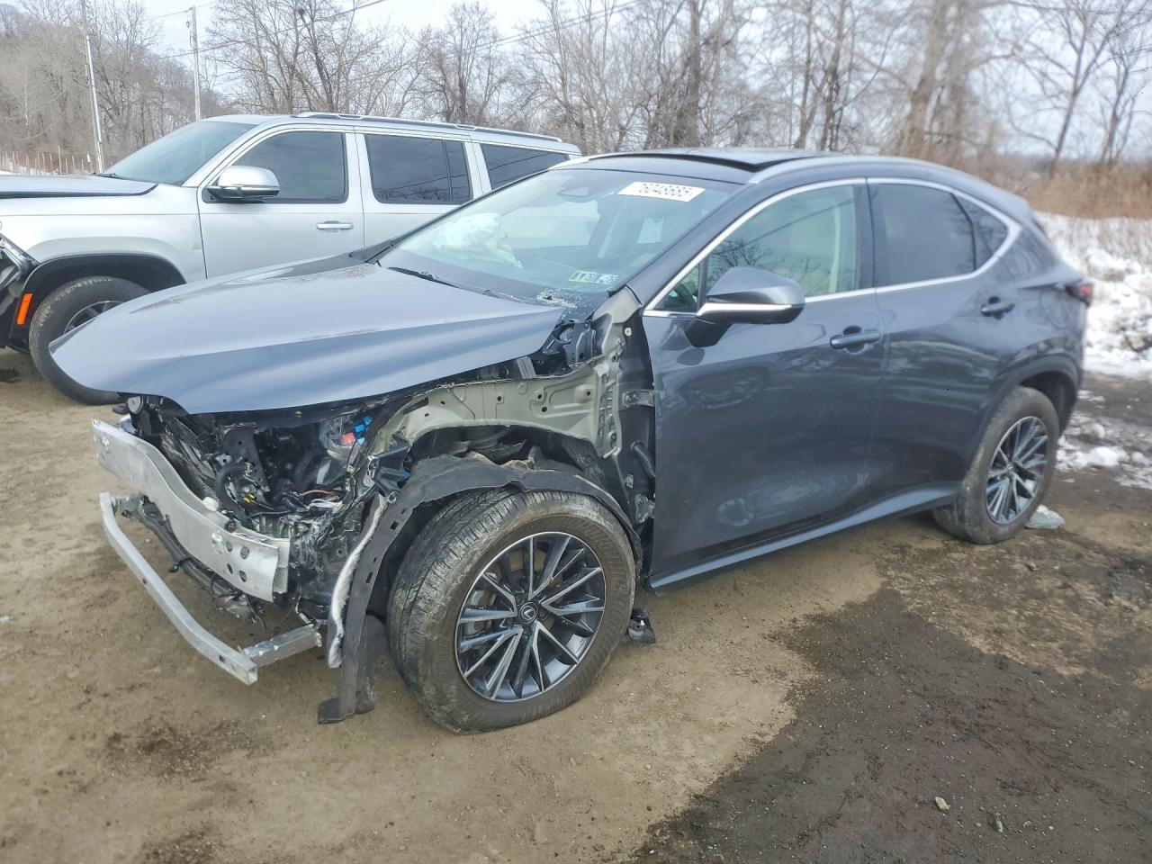 LEXUS NX 2025