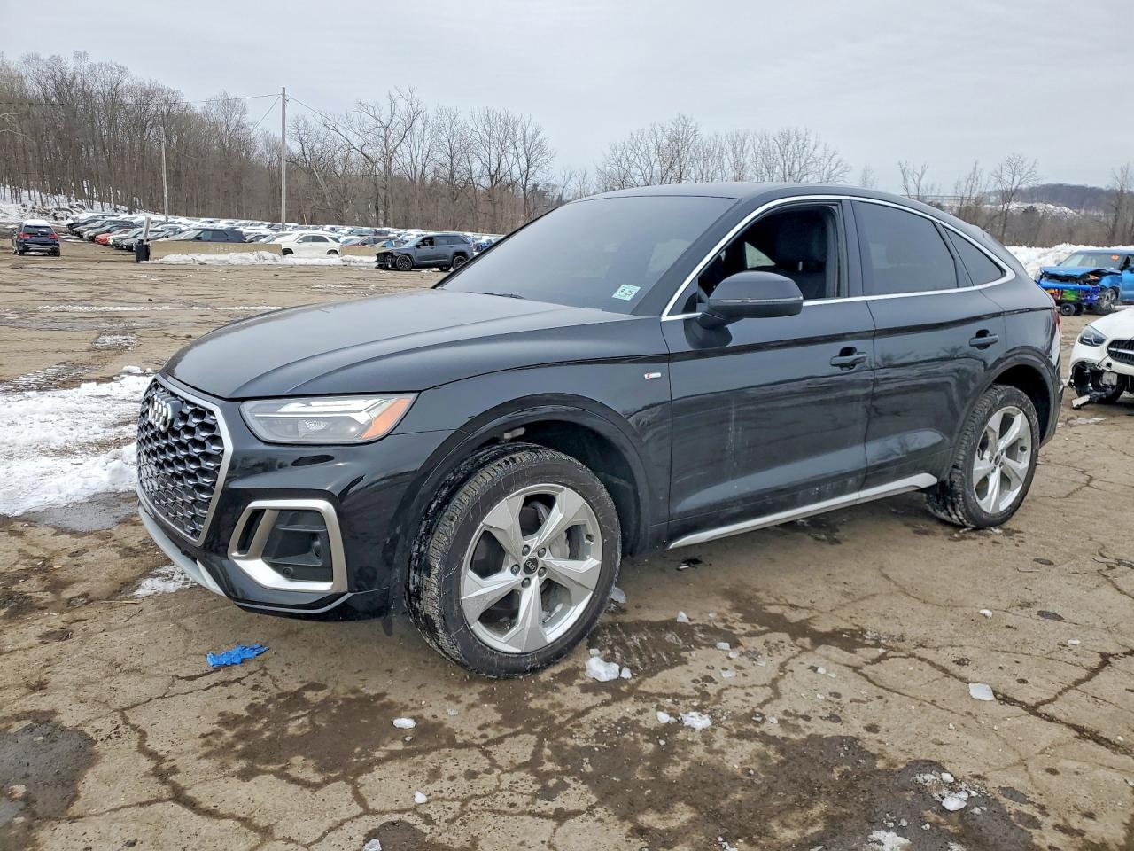 AUDI Q5 2024