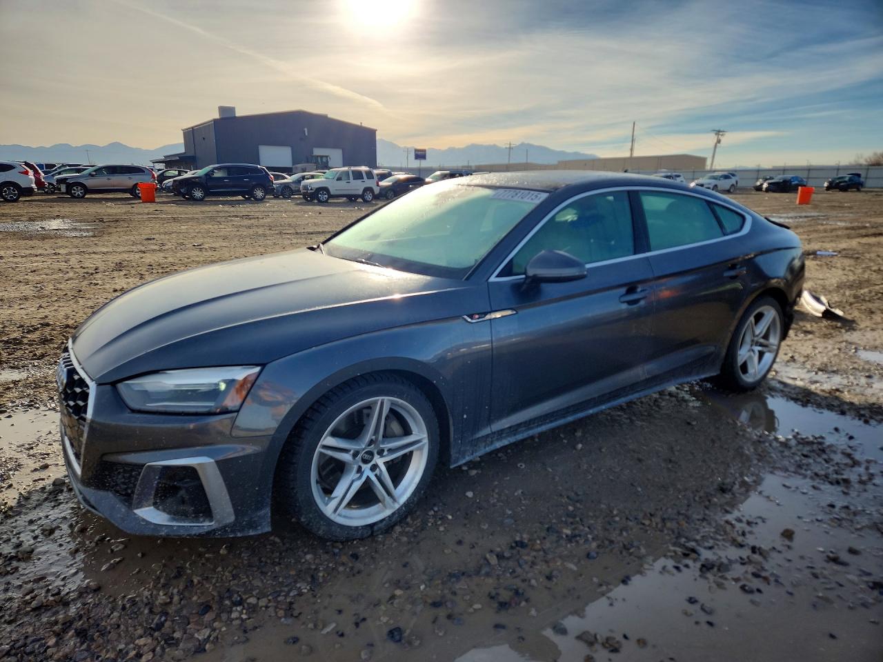 AUDI A5 2022