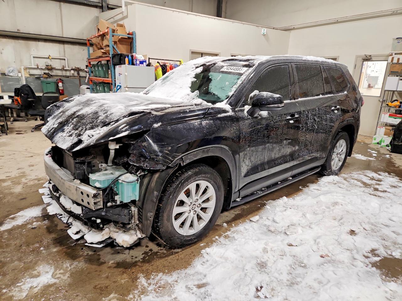 TOYOTA GRAND HIGHLANDER 2024