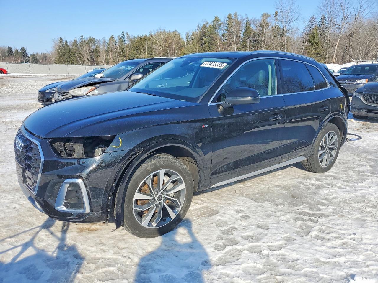 AUDI Q5 2023