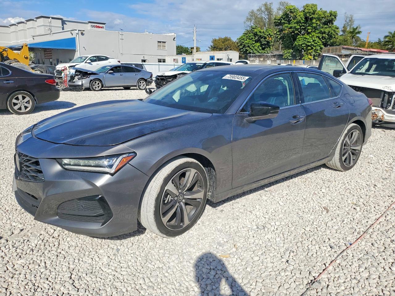 ACURA TLX 2024