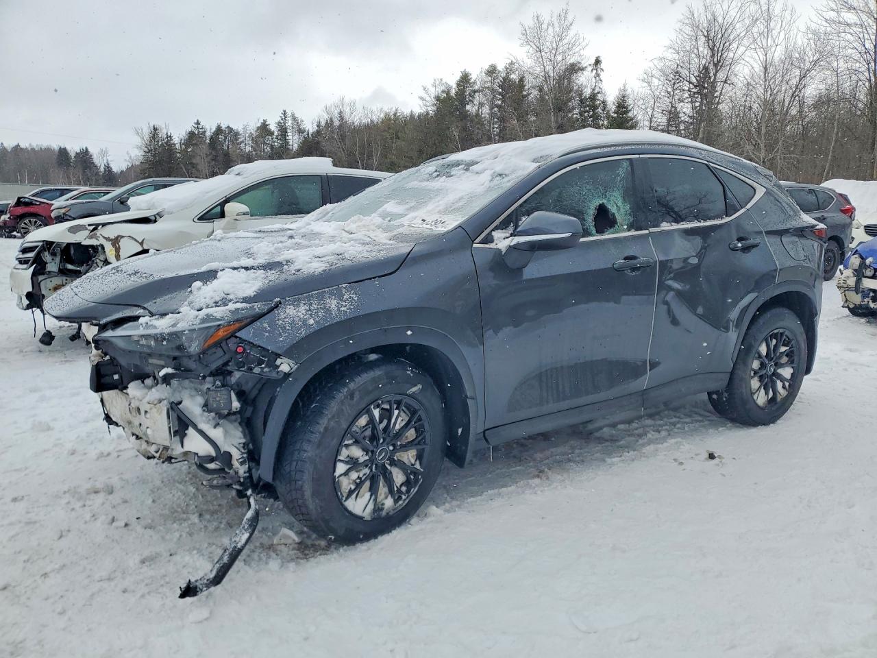 LEXUS NX 2022
