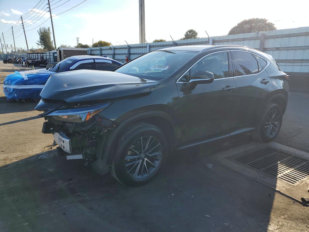 LEXUS NX 2024
