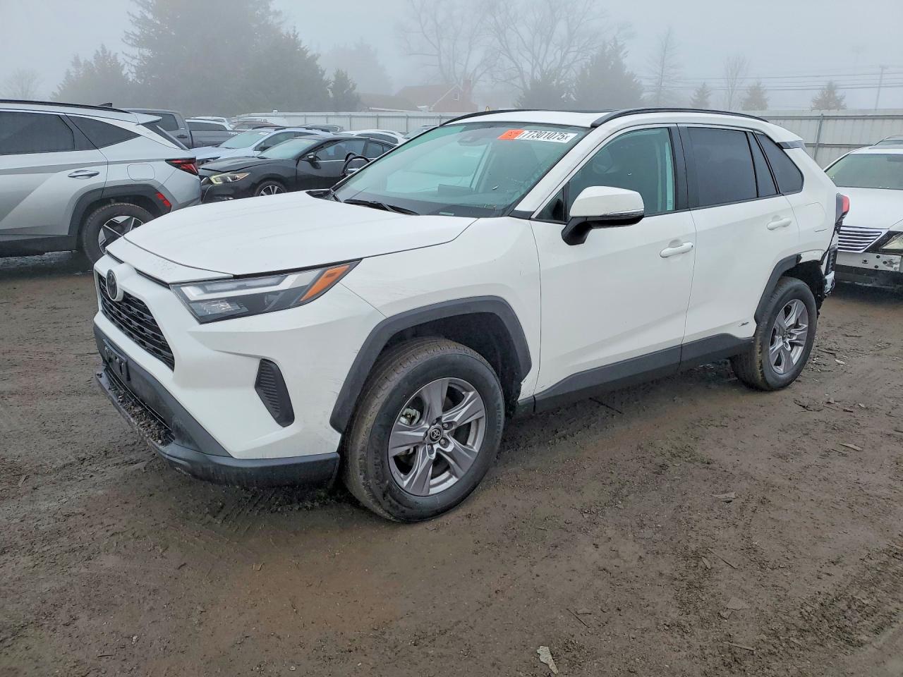 TOYOTA RAV4 HYBRID 2025