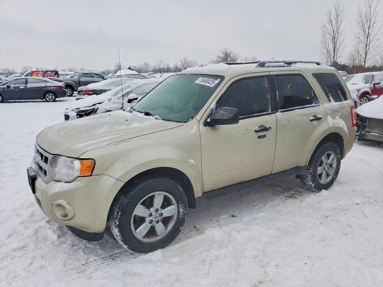 FORD ESCAPE 2010