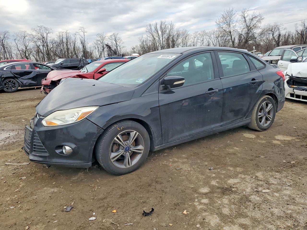 FORD FOCUS 2014